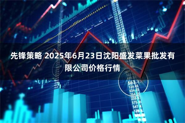 先锋策略 2025年6月23日沈阳盛发菜果批发有限公司价格行情