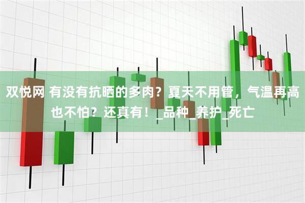 双悦网 有没有抗晒的多肉？夏天不用管，气温再高也不怕？还真有！_品种_养护_死亡