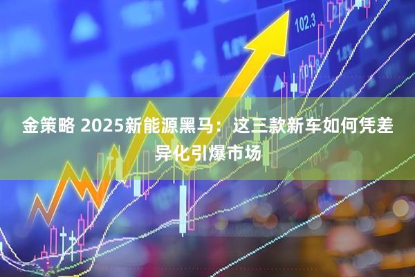 金策略 2025新能源黑马：这三款新车如何凭差异化引爆市场