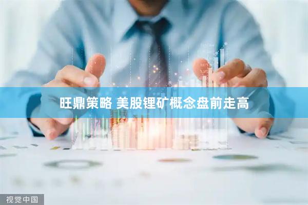 旺鼎策略 美股锂矿概念盘前走高